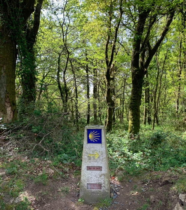 Hike Marker